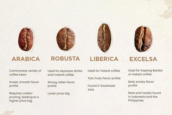 Jenis-Jenis Kopi Mulai dari Arabika, Robusta, Liberika, hingga Excelsa: Apa Bedanya?